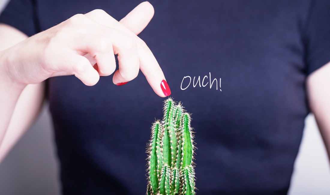 Una donna tocca un cactus