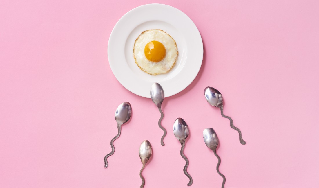 Concept della fecondazione: spermatozoi (cucchiaini) vicini all'ovocita (uovo all'occhio di bue)
