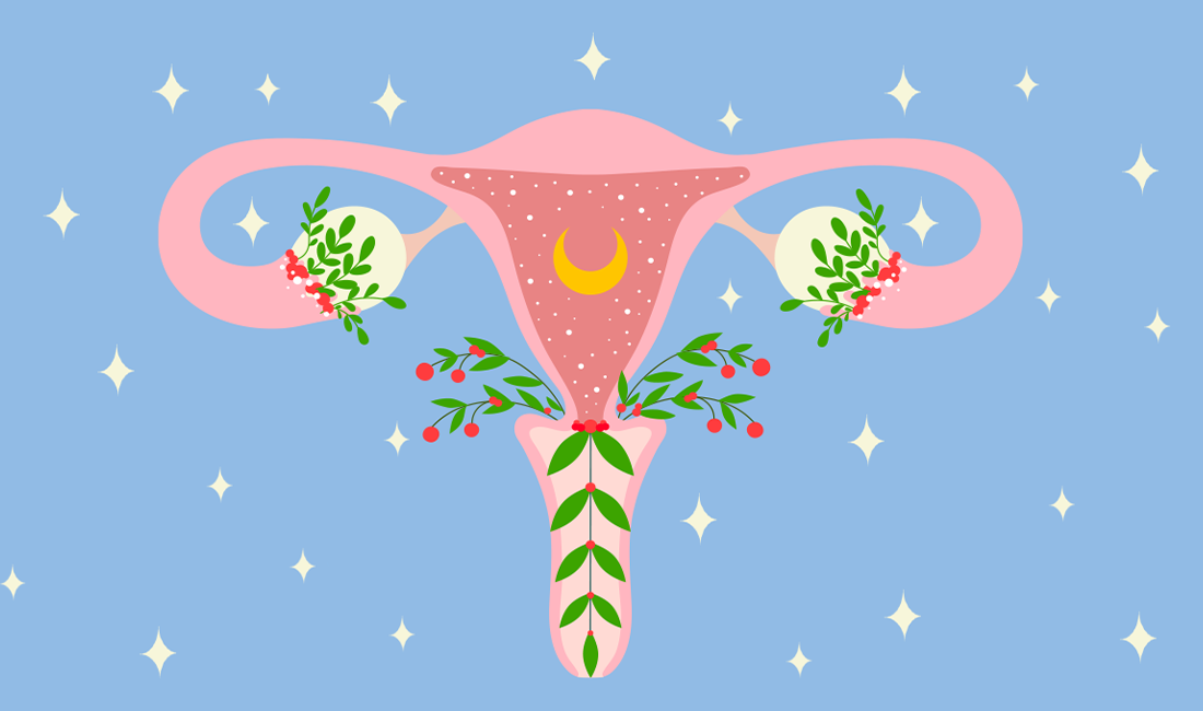 Questionario sulla fertilità femminile - illustrazione rappresentante apparato riproduttivo femminile.